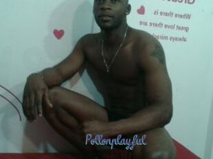 Pollonplayful