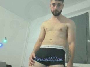 Porncock22cm