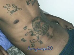 Pussypumpa20