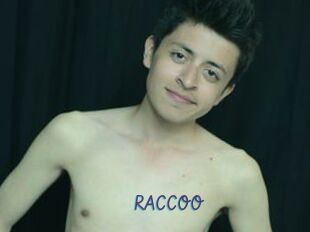 RACCOO