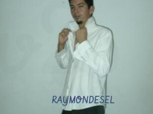 RAYMONDESEL