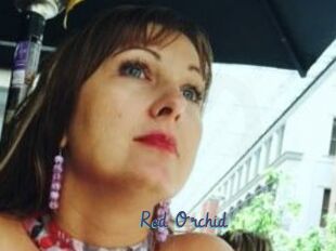 Red_Orchid