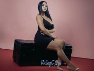 RileyCase