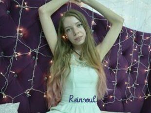 Reinsoul