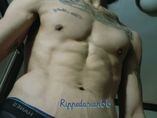 Rippedasian66