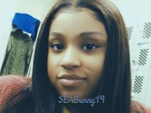 SEABunny19