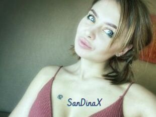 SanDinaX