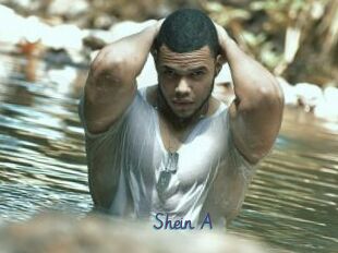 Shein_A