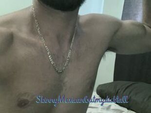 SkinnyMexicanbutmydicktall