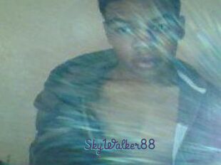 SkyWalker88