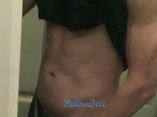 StallionJace