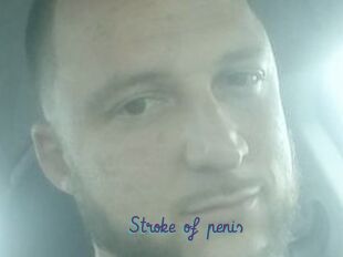 Stroke_of_penis