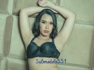 Submodelo551