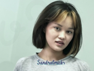 Sandrabricks