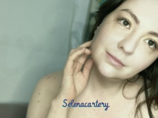 Selenacartery