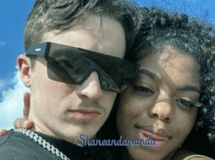 Shaneandananda