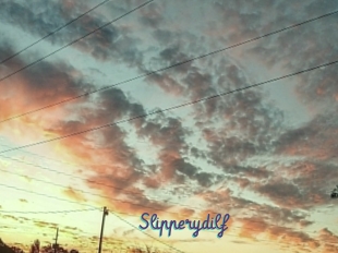 Slipperydilf
