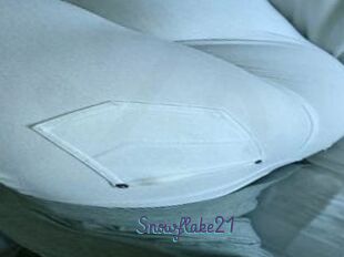 Snowflake21