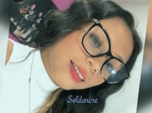 Soldenise