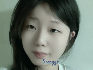 Ssongge