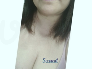 Suzecat