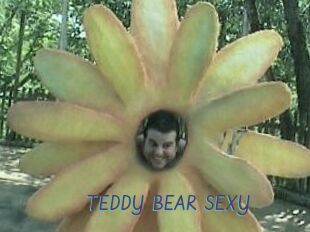 TEDDY_BEAR_SEXY