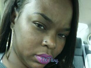 T_N_Ttiny