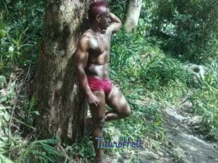 Tauro_Hott