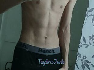 TaylorsJunk