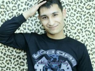 TeddyReadyPlay