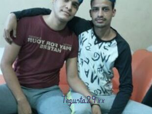 Tegusta29xx
