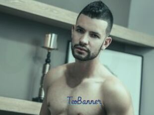 TeoBanner