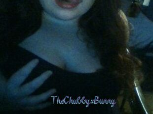 TheChubbyxBunny