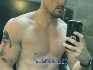 TheSolidSnake23