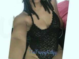 TheTrippyKittyy