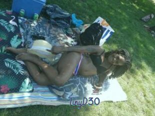 TinyD30
