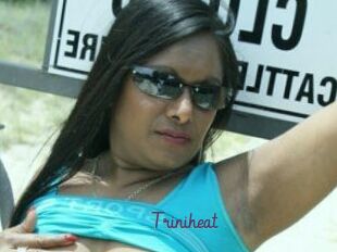 Triniheat