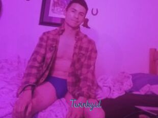 Twinkycd