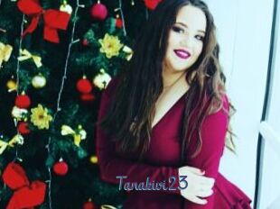 Tanakivi23
