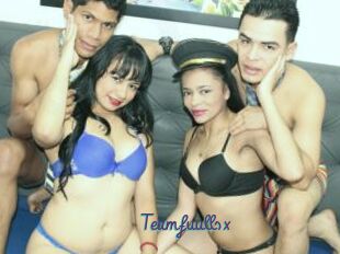 Teamfuullsx