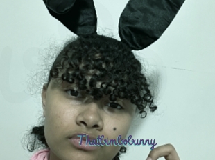 Thatbimbobunny