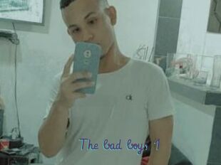 The_bad_boys_1