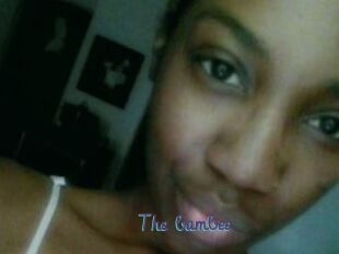 The_bambee