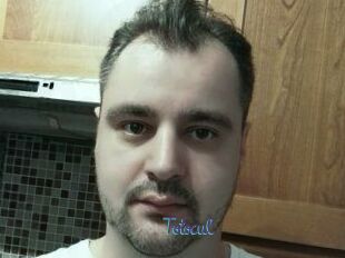 Totocul