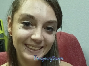 Trixysunflower