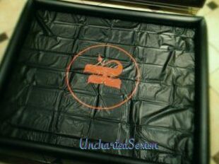 UnchartedSexion