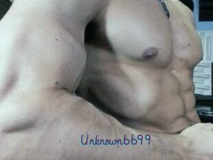 Unknown6699
