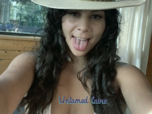 Untamed_laine