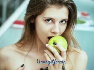 Urangelforsin