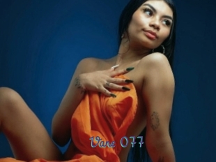 Vane_077
